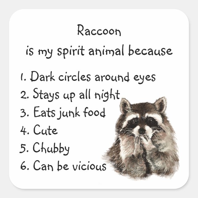 Funny Raccoon Spirit Animal Humour Square Sticker (Front)