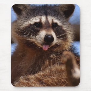 Funny Raccoon Sticking It's Tongue Out Mouse Pad