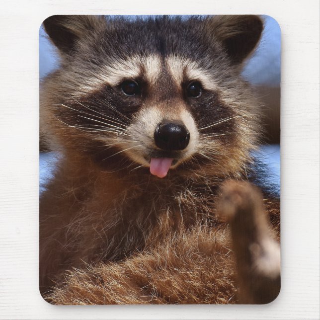 Funny Raccoon Sticking It's Tongue Out Mouse Pad (Front)