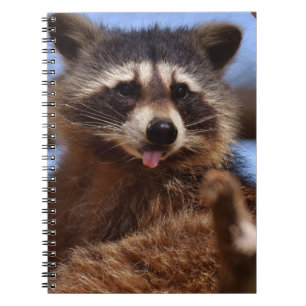 Funny Raccoon Sticking It's Tongue Out Notebook