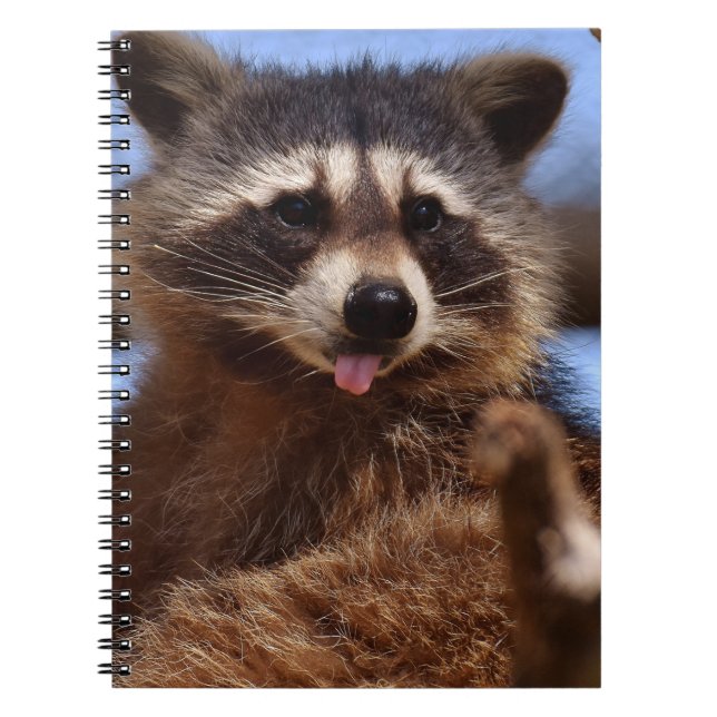 Funny Raccoon Sticking It's Tongue Out Notebook (Front)
