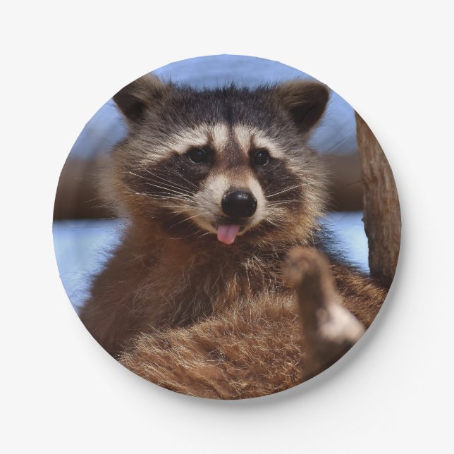 Funny Raccoon Sticking It's Tongue Out Paper Plate (Front)