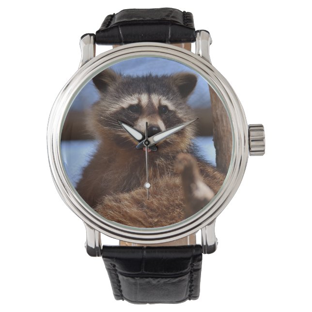 Funny Raccoon Sticking It's Tongue Out Watch (Front)