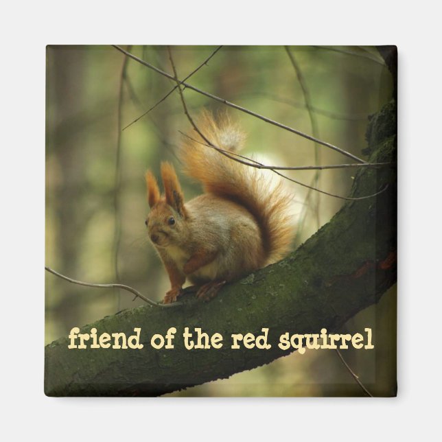 Funny Rad Squirrel/Friend of the Red Squirrel Magnet (Front)