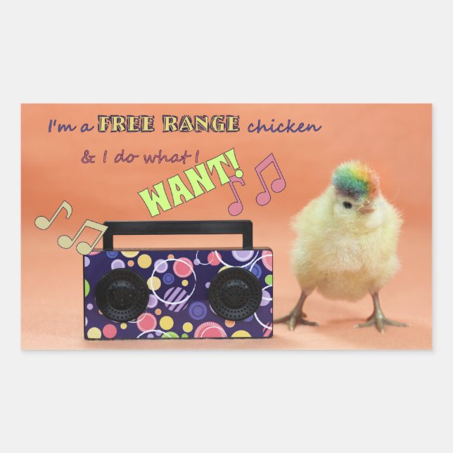 Funny Rainbow Chicken Stickers (Front)