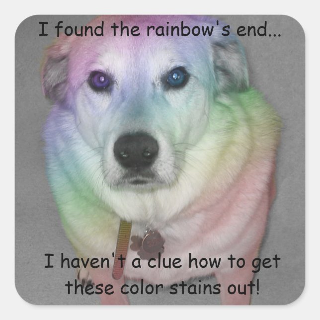 Funny Rainbow Pooch Sticker (Front)
