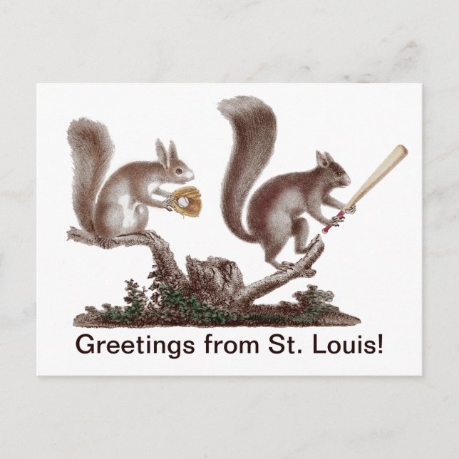 Funny Rally Squirrel Greetings from St. Louis! Postcard (Front)