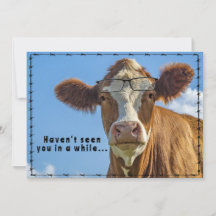 Funny Ranch Farm Country Western Cow Glasses