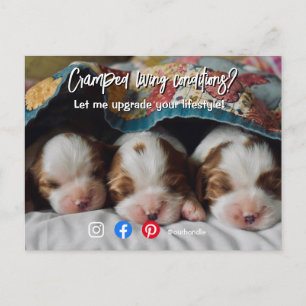 funny real estate cramped living puppy dog postcard