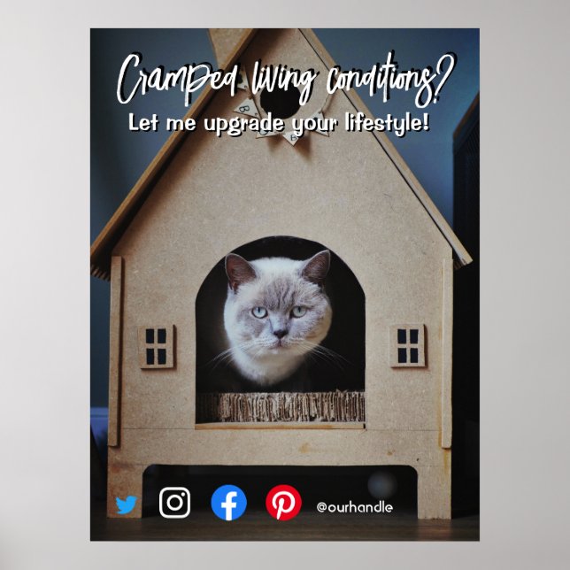 funny real estate postcard cramped living cat post poster (Front)