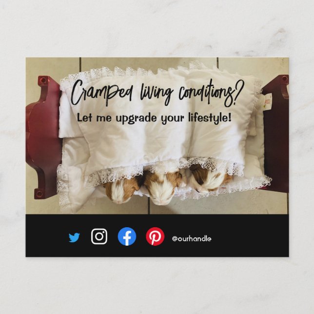 funny real estate postcard cramped living dog (Front)