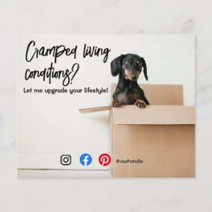 funny real estate postcard cramped living dog flye flyer