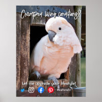 funny real estate postcard cramped living parrot