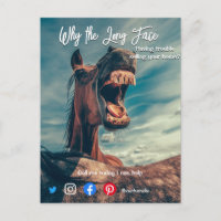 funny real estate postcard long face horse