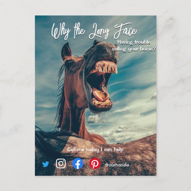 funny real estate postcard long face horse (Front)