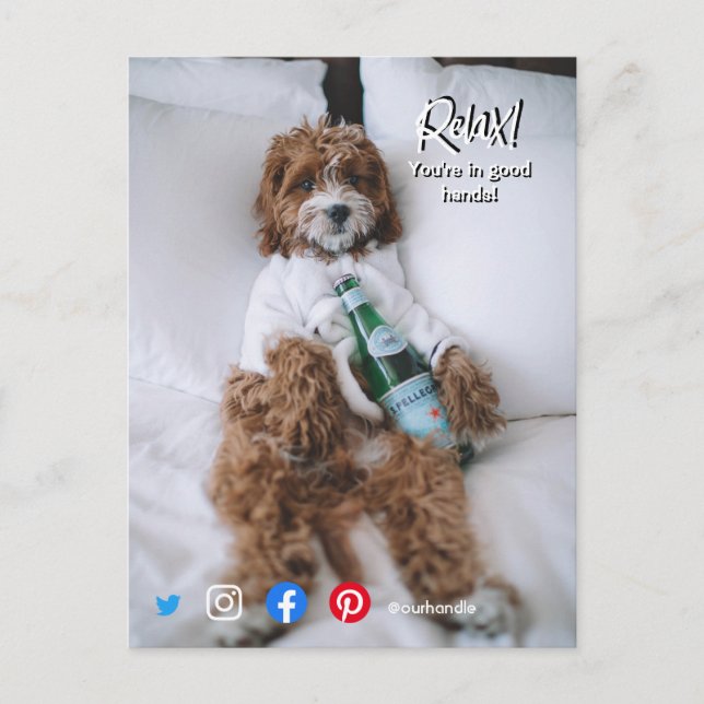 funny real estate postcard relax bed dog (Front)