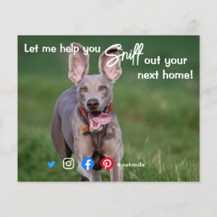 funny real estate sniff out your next home dog fly flyer