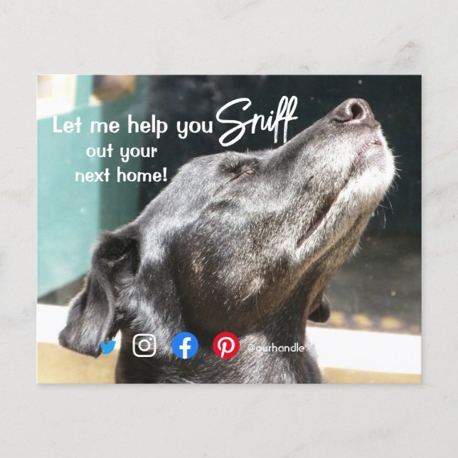 funny real estate sniff out your next home dog flyer (Front)