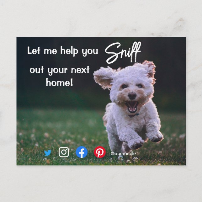 funny real estate sniff out your next home dog pos postcard (Front)