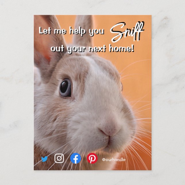 funny real estate sniff out your next home rabbit postcard (Front)
