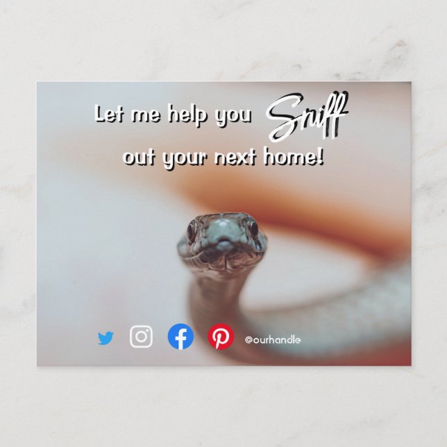 funny real estate sniff out your next home snake postcard (Front)