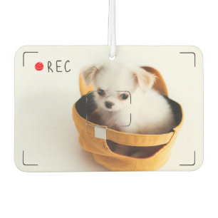 Funny Record Red Dot Custom Pet Photo Air Freshener