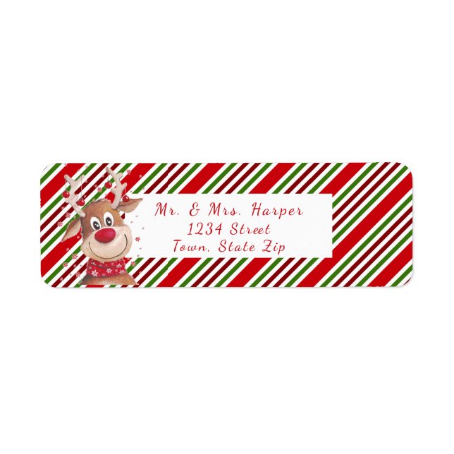 Funny Reindeer Big Red Nose Red White Stripe (Front)