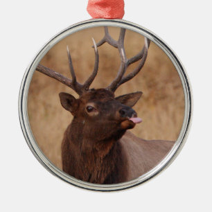 funny reindeer metal ornament