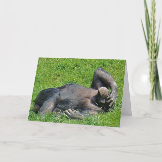 Funny Relaxing Chimpanzee Animal Photo Card (Front)