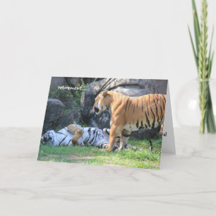 Funny Retirement Card, sleeping tiger Card