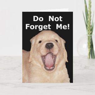 Funny Retirement Congratulations Greeting Card