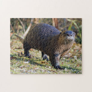 Funny River Otter out of Water Stanley Park Lagoon Jigsaw Puzzle