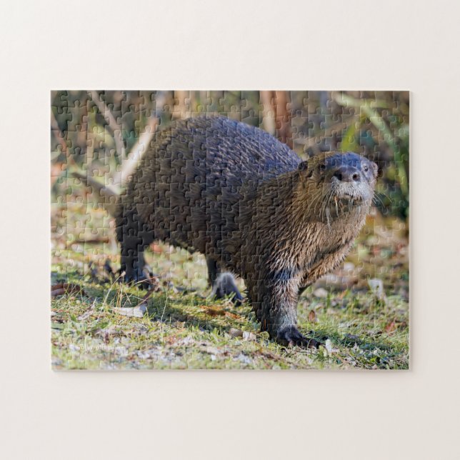 Funny River Otter out of Water Stanley Park Lagoon Jigsaw Puzzle (Horizontal)