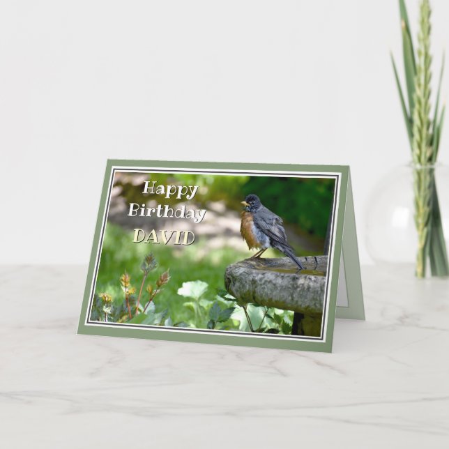 Funny Robin Birthday Card (Front)