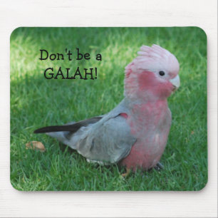 Funny Roseate Cockatoo Don't Be A Galah Mouse Pad