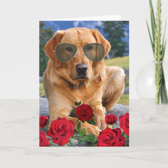 Funny Roses are Red Poem Golden Labrador  Card (Front)