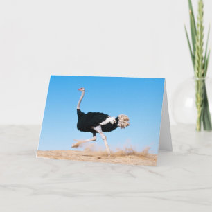Funny Running Ostrich Photo Thank You Card
