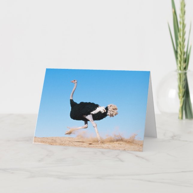Funny Running Ostrich Photo Thank You Card (Front)