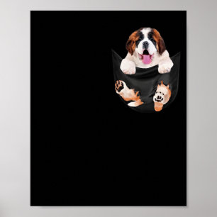 Funny Saint Bernard In Your Cket For St. Bernard L Poster