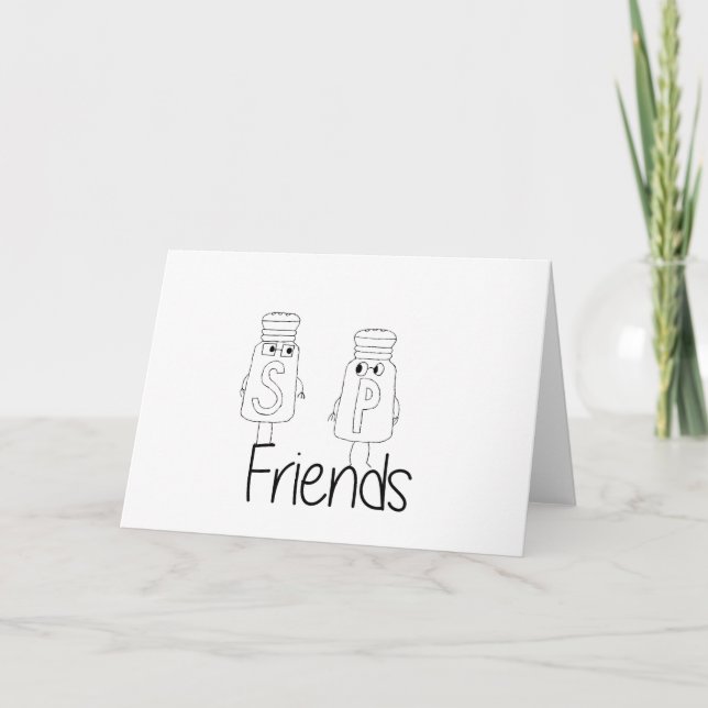 Funny Salt and Pepper Shakers Best Friends Besties Card (Front)