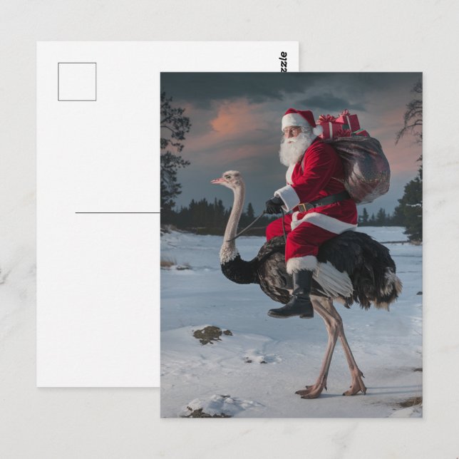 Funny Santa and Ostrich Postcard (Front/Back)