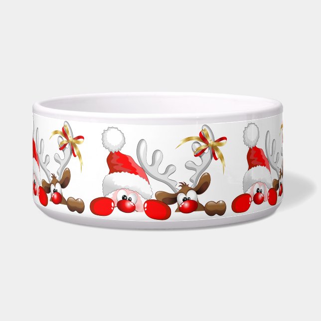 Funny Santa and Reindeer Cartoon  (Front)