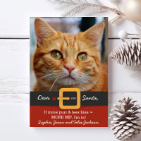 Funny Santa Cat More Purr Less Hiss Photo