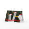 Funny Santa Ducks Funny Christmas Card