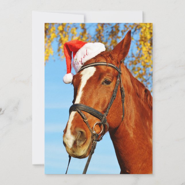 Funny Santa Hat Horse Christmas Holiday Card (Front)