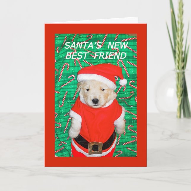 Funny Santa Puppy Christmas Greeting Card (Front)