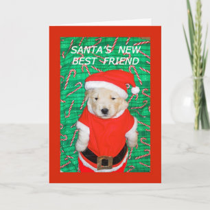 Funny Santa Puppy Christmas Greeting Card