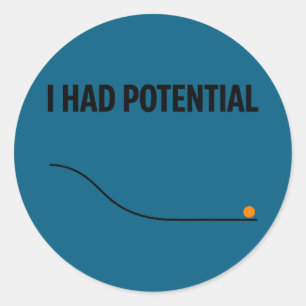 Funny sarcastic i had potential teacher meme quote classic round sticker