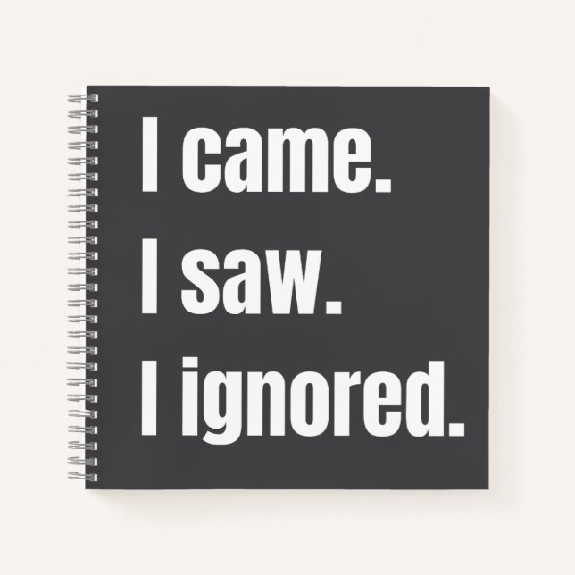 Funny Sarcastic Quote I Came I Saw I Ignored Meme  Notebook (Front)