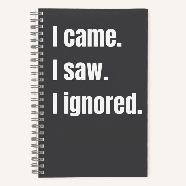 Funny Sarcastic Quote I Came I Saw I Ignored Meme  Notebook (Front)